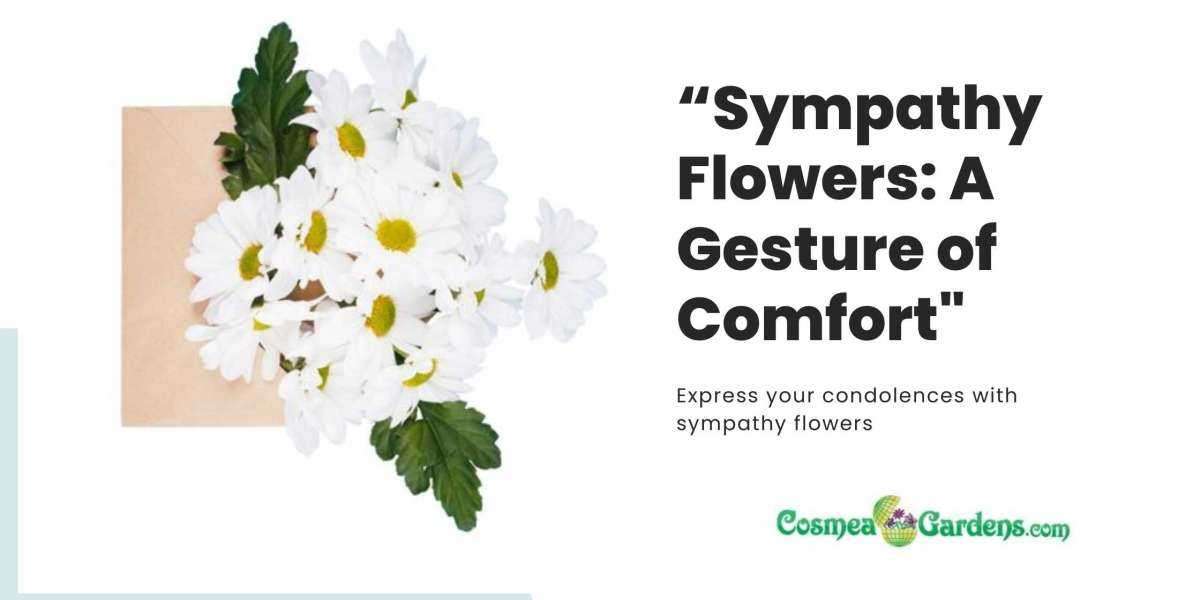 Sympathy Flowers: A Gesture of Comfort