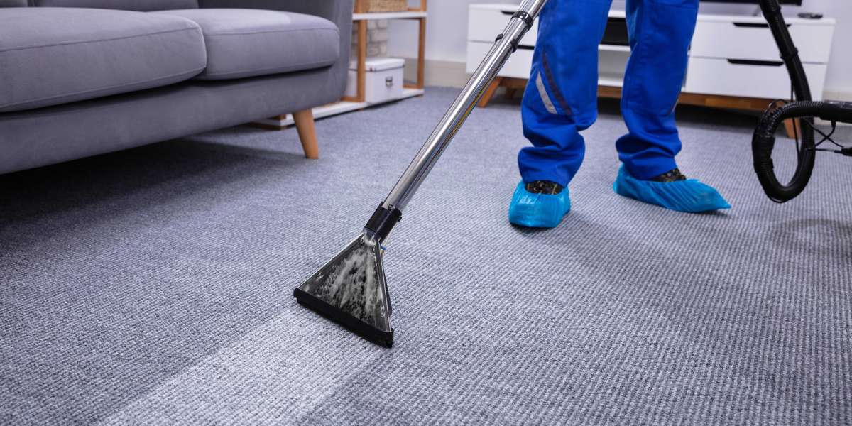 Top Carpet Cleaning Services in NE Calgary