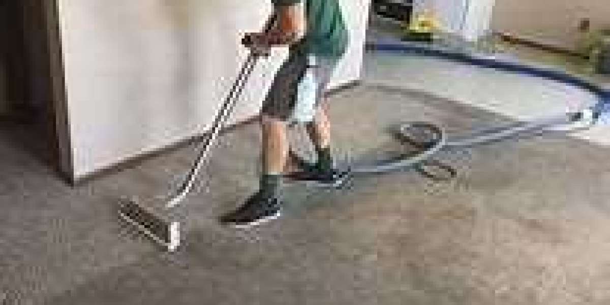 Eradicating Damage Before It Sets: Carpet Cleaning Tactics