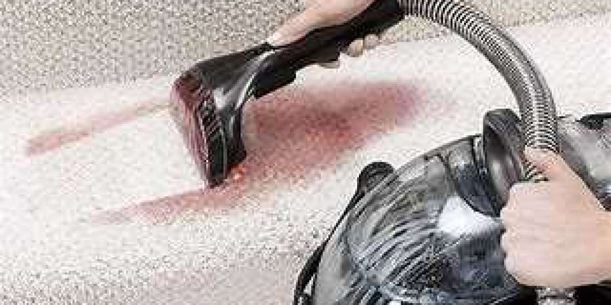 Elevate Your Living Environment with Expert Carpet Cleaning